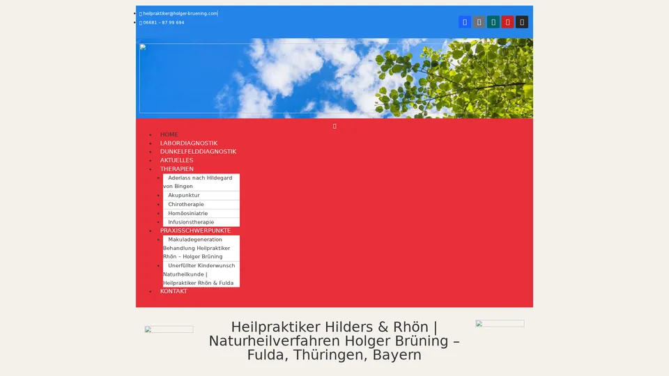 Alte Website von Holger Brüning vor der Überarbeitung